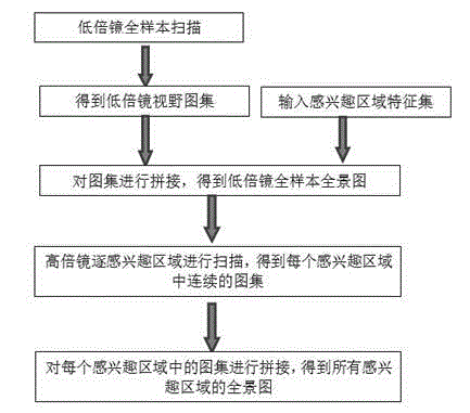 Automatic bone marrow sample processing device, and automated analyzing and radiograph reading method thereof