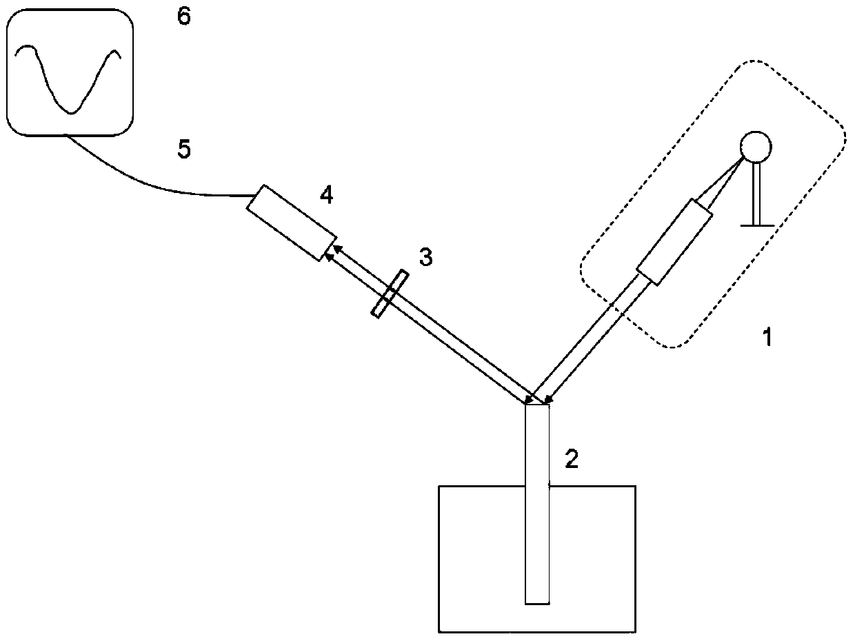 Portable probing type surface plasma resonance biosensor and preparation method and detection method thereof