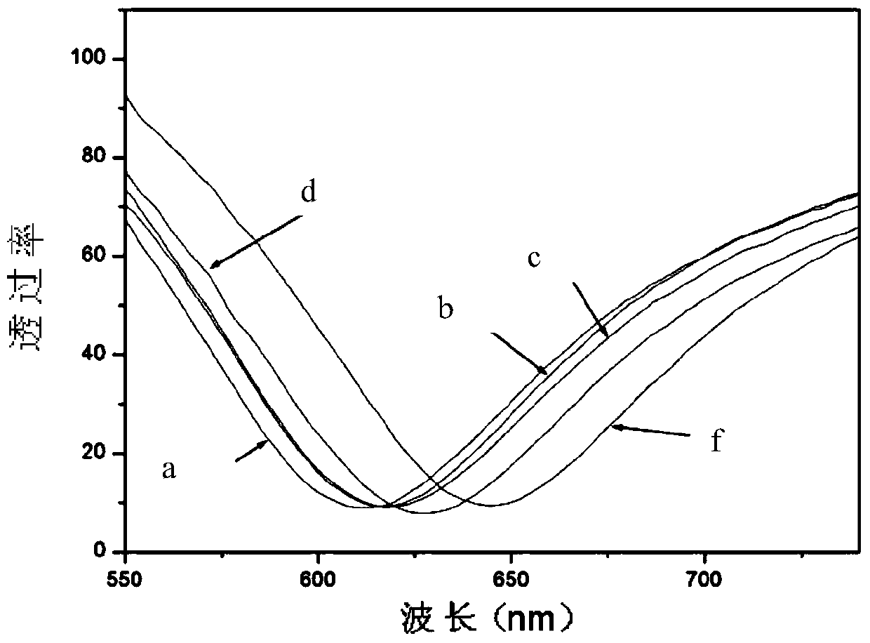 Portable probing type surface plasma resonance biosensor and preparation method and detection method thereof