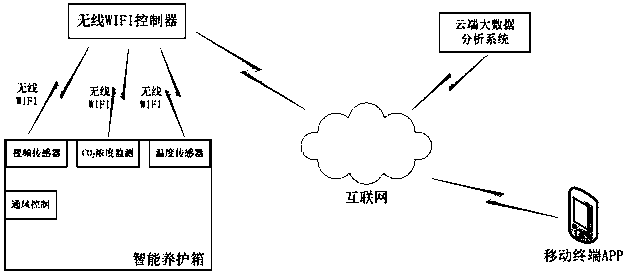 Application (APP)-based intelligent pet tortoise raising system design method