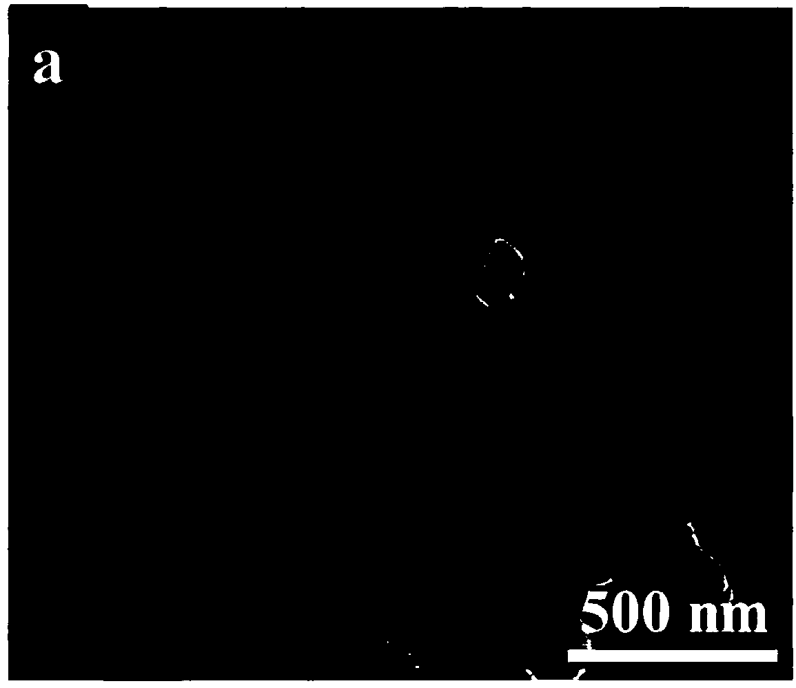 Mixed transition metal borate negative electrode material and preparation method thereof