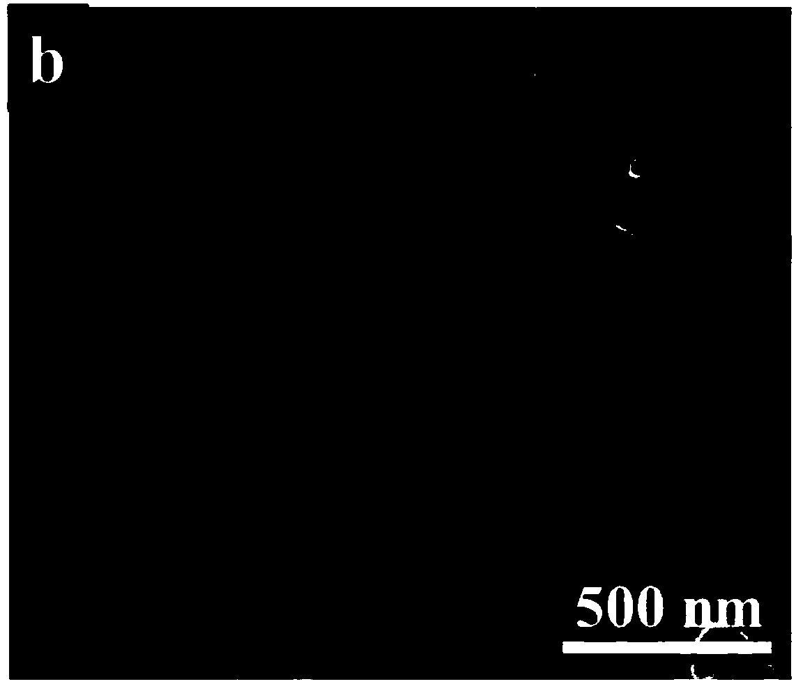 Mixed transition metal borate negative electrode material and preparation method thereof