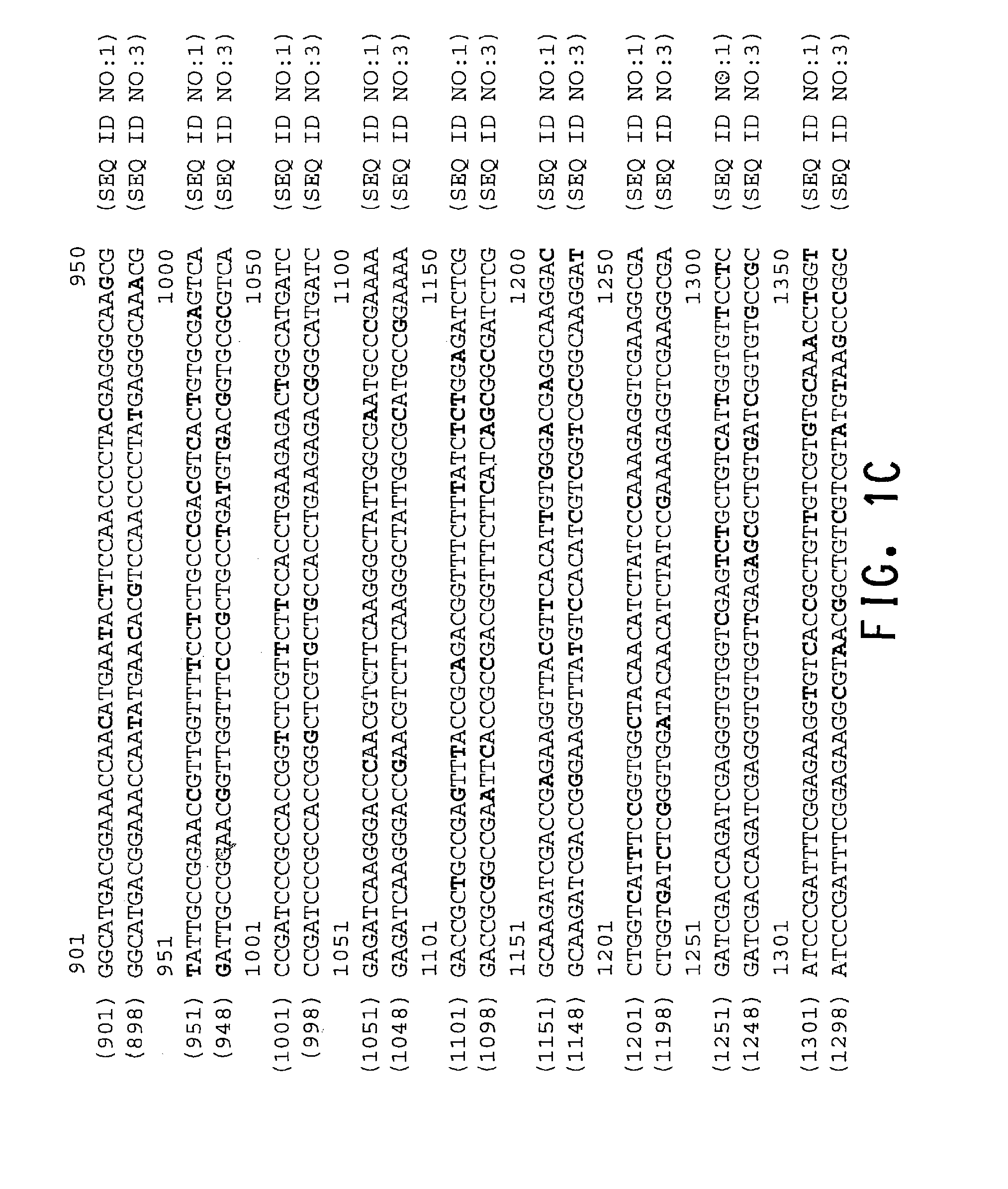 Reducing byproduction of malonates in a fermentation process