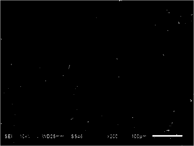 Preparation method of multifunctional intravascular stent