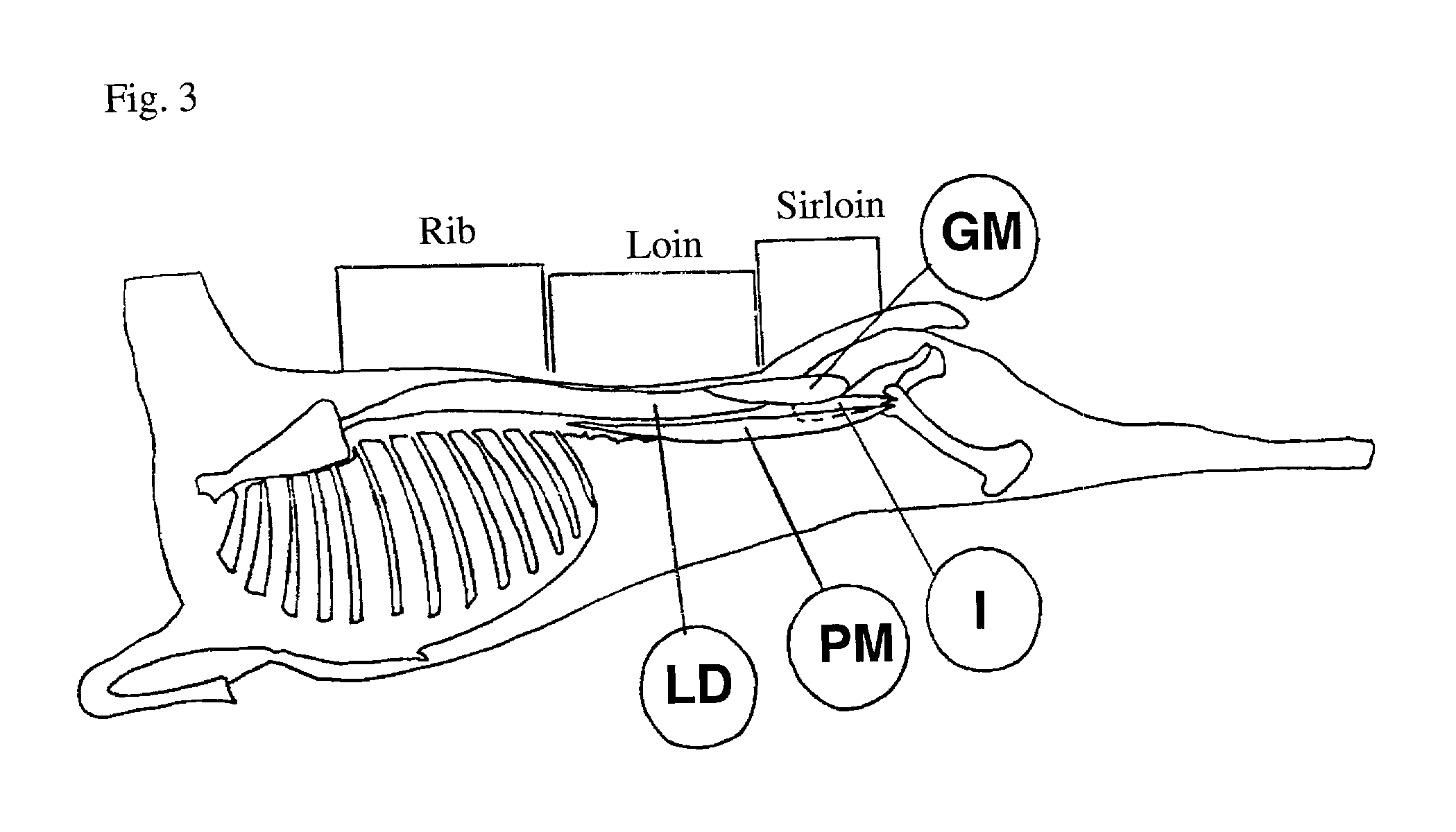 Coaxially combined meat roast with steaks or chops cut from same