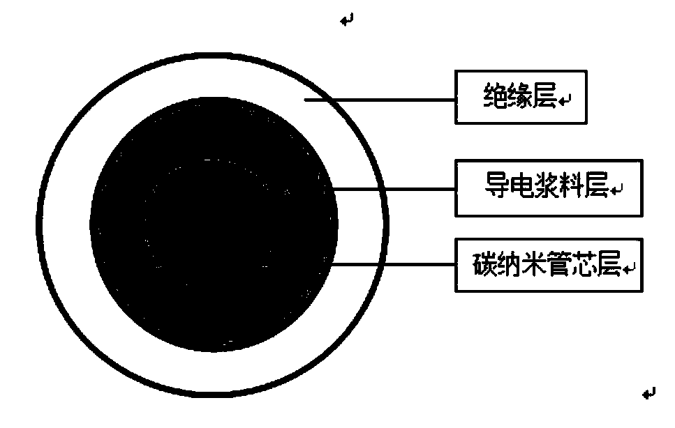 Carbon nanotube enameled wire and application thereof