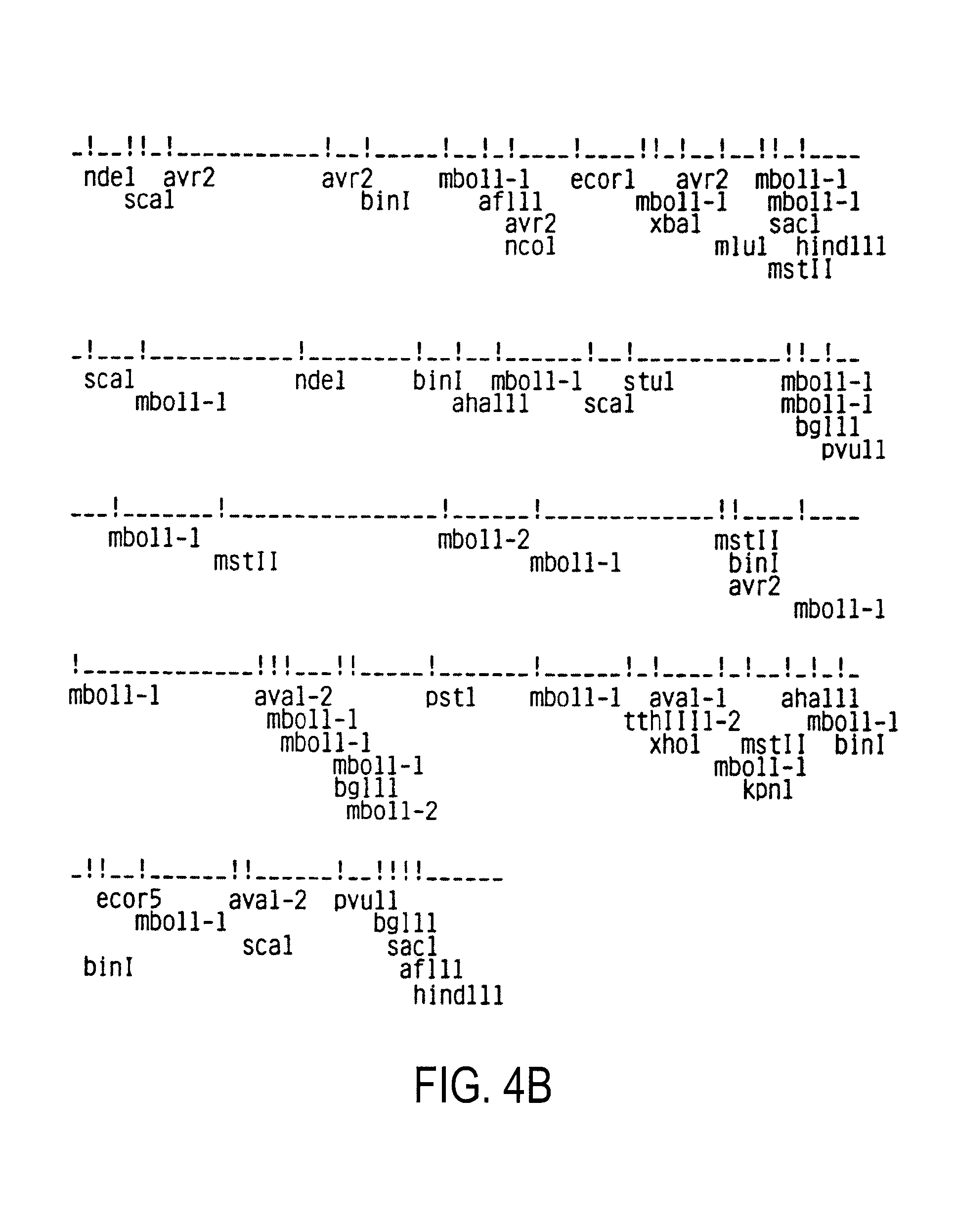 Antigenic composition comprising an HIV gag or env polypeptide