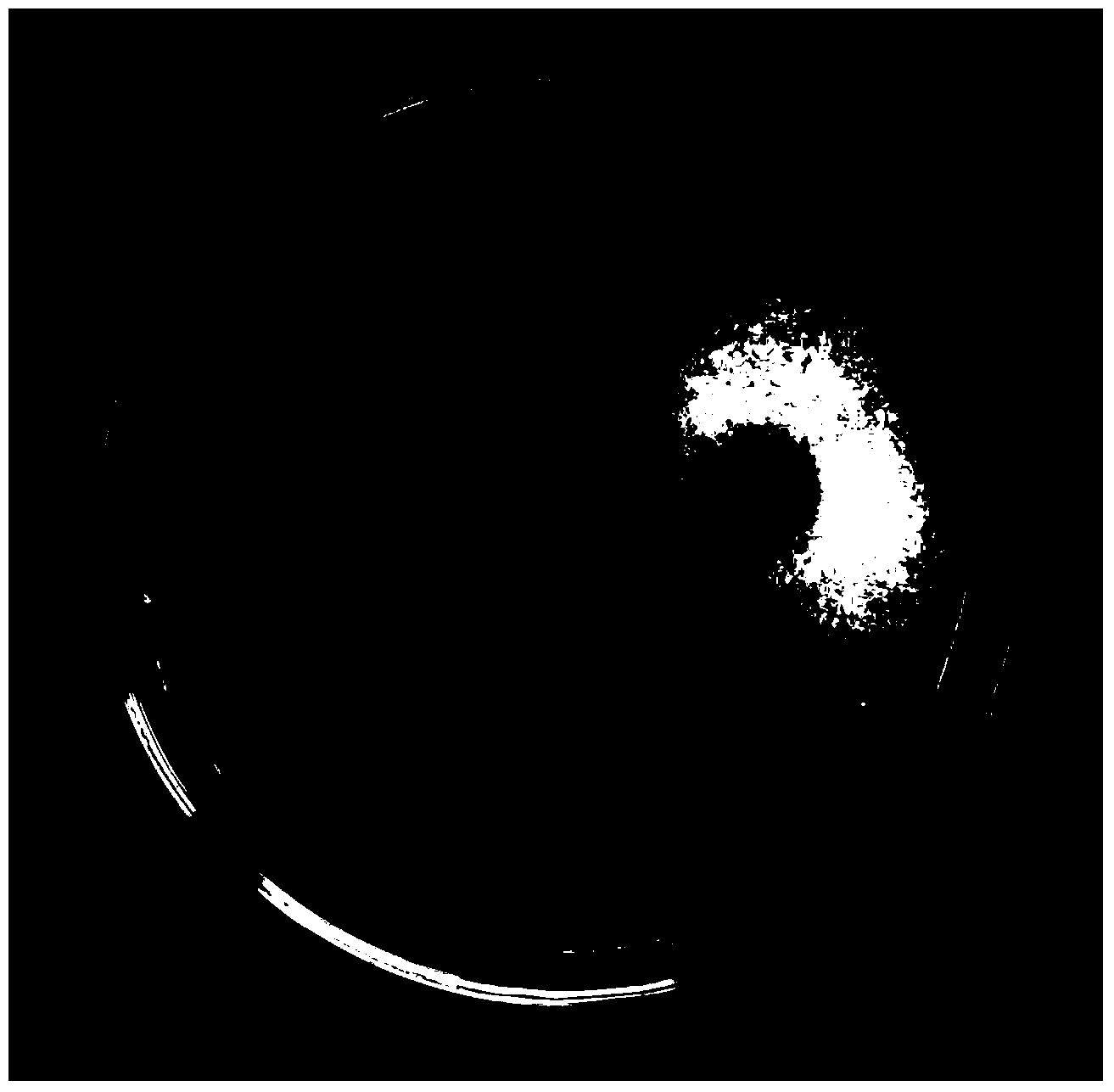 Bacillus subtilis and application thereof