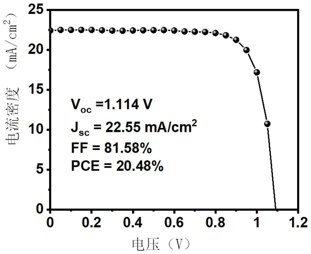 Perovskite light absorption layer and preparation method thereof, and solar cell and preparation method thereof