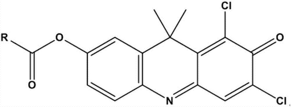 Near infrared fluorescence probe substrate of carboxylesterase2 and application of substrate