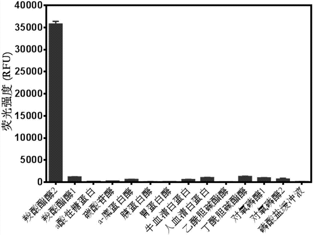 Near infrared fluorescence probe substrate of carboxylesterase2 and application of substrate