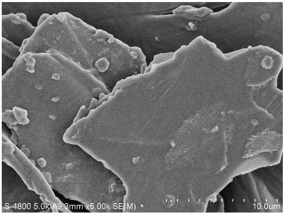 Preparation method of modified watermelon peel adsorbent