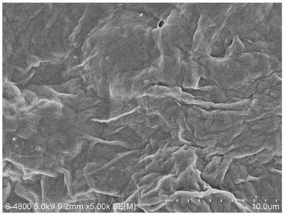 Preparation method of modified watermelon peel adsorbent