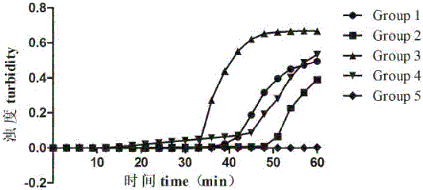 LAMP primer combination for detecting Bombyx mori nuclear polyhedrosis virus and kit