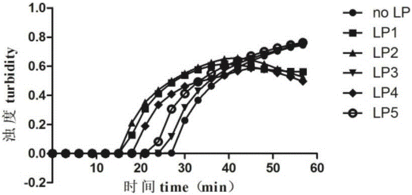 LAMP primer combination for detecting Bombyx mori nuclear polyhedrosis virus and kit