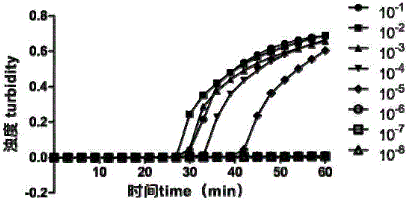 LAMP primer combination for detecting Bombyx mori nuclear polyhedrosis virus and kit