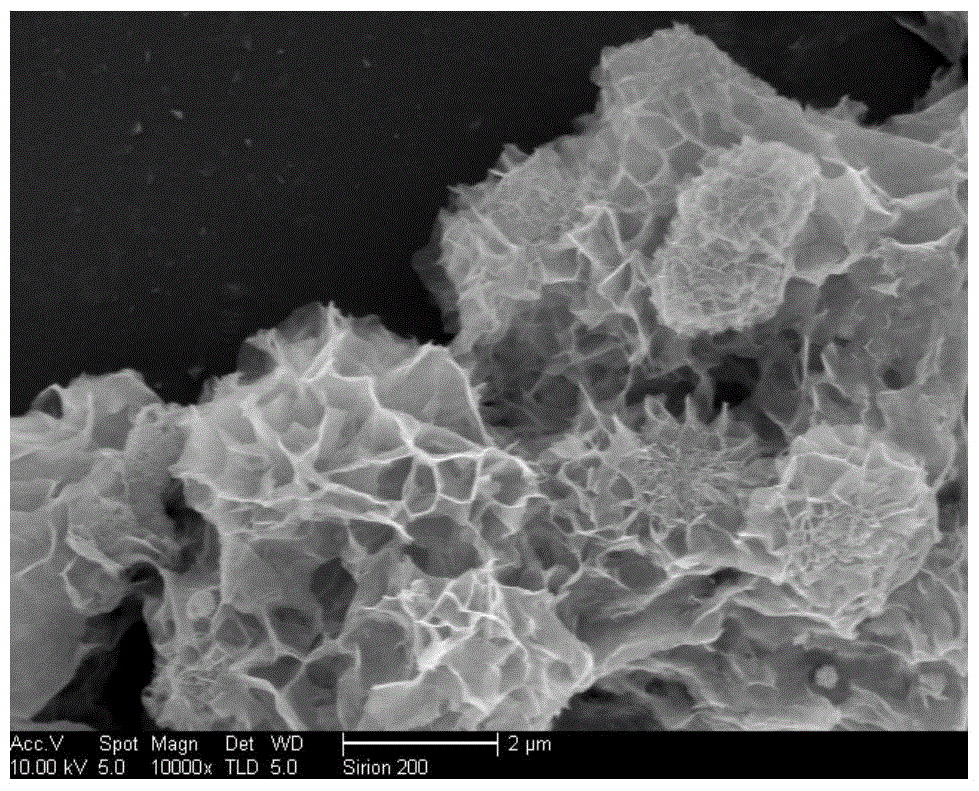 Bismuth oxide material with micro-nano structure and preparation method thereof