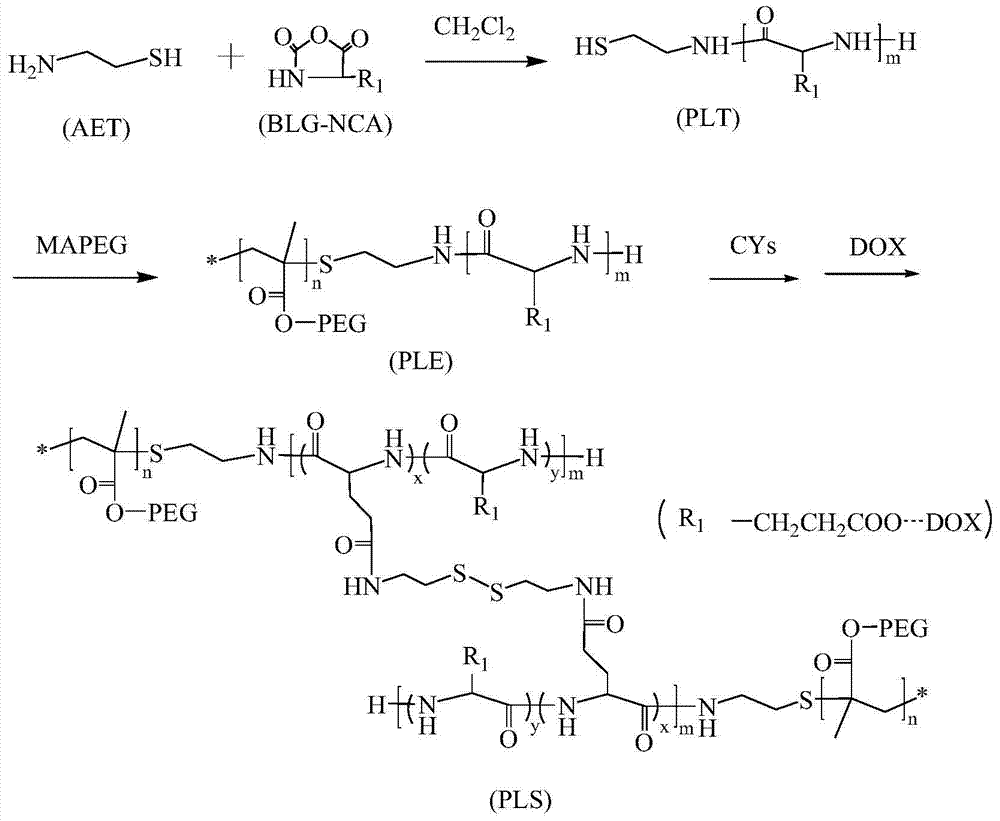 Preparation of a poly(l-glutamic acid)-b-polyethylene glycol drug-loaded nanomicelle