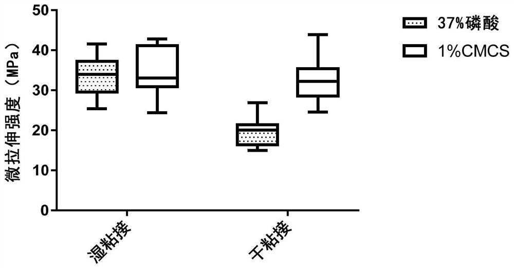 Application of carboxymethyl chitosan in preparation of dentin collagen fiber demineralization material