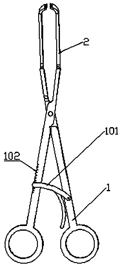 Antibacterial tissue forceps