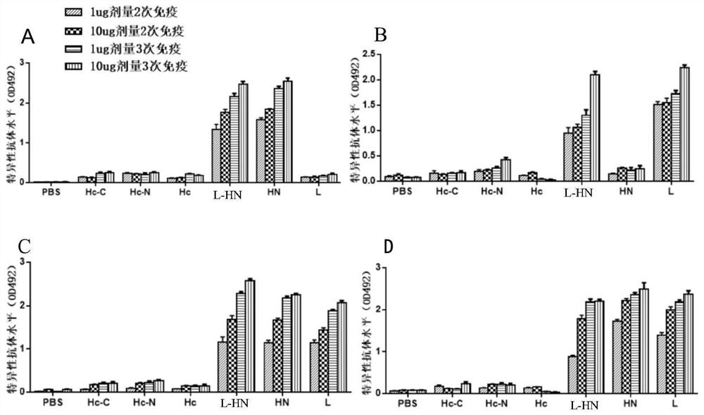 Preparation method and application of e-type botulinum toxin recombinant l-hn antigen