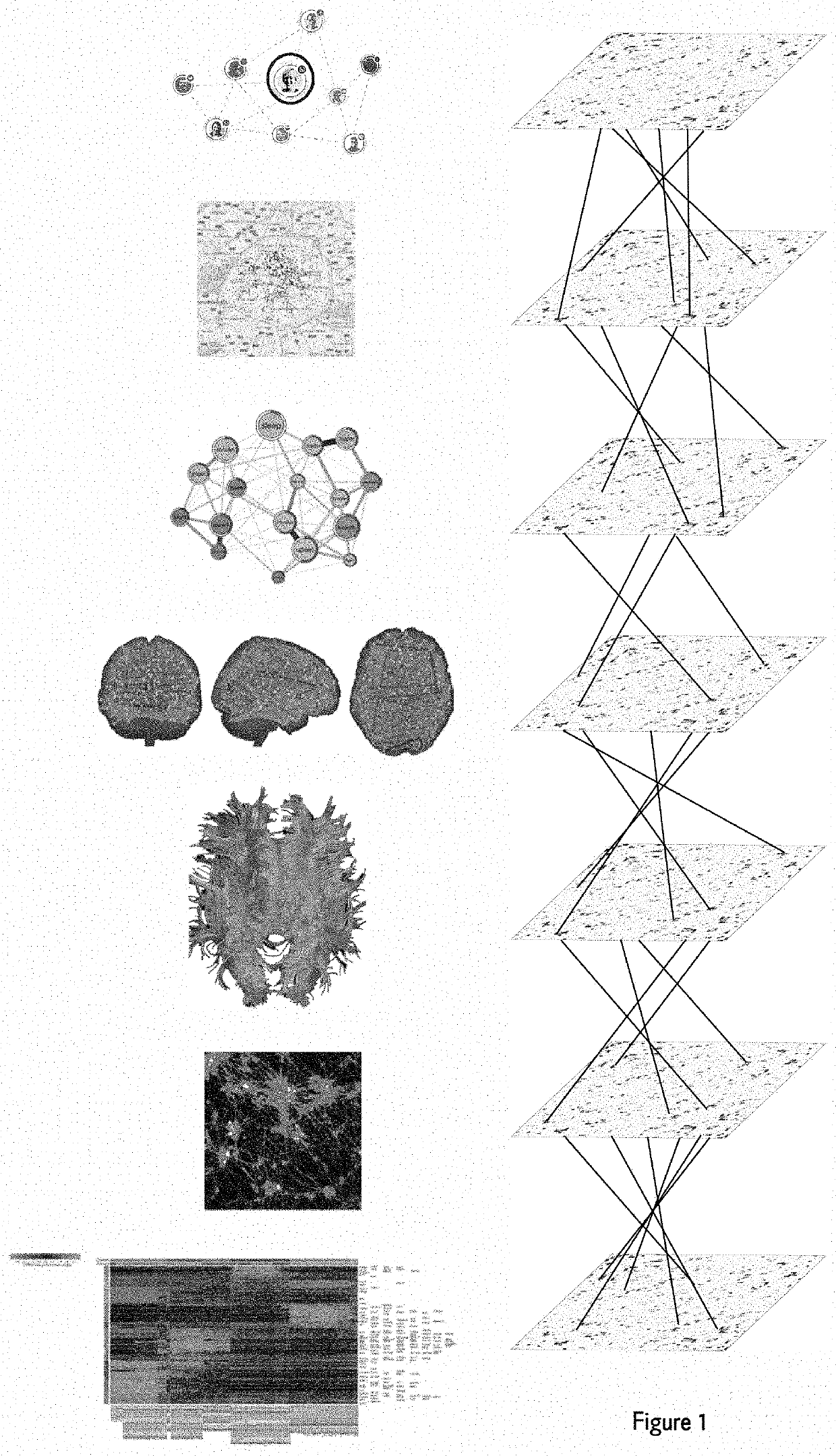 Automated feature engineering of hierarchical ensemble connectomes