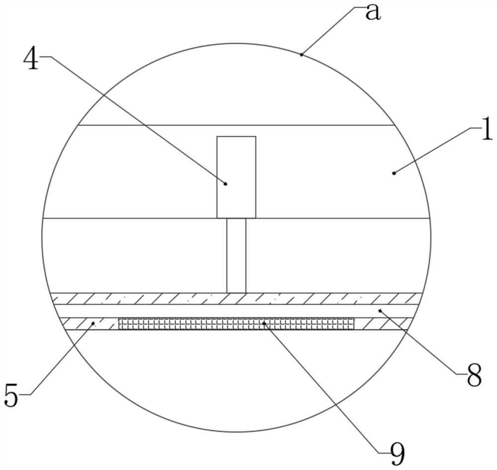 Training instrument for increasing penis size