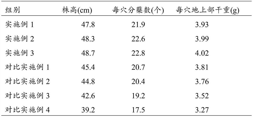 A method for raising seedlings of rice with resistance to stress in saline-alkali cold regions