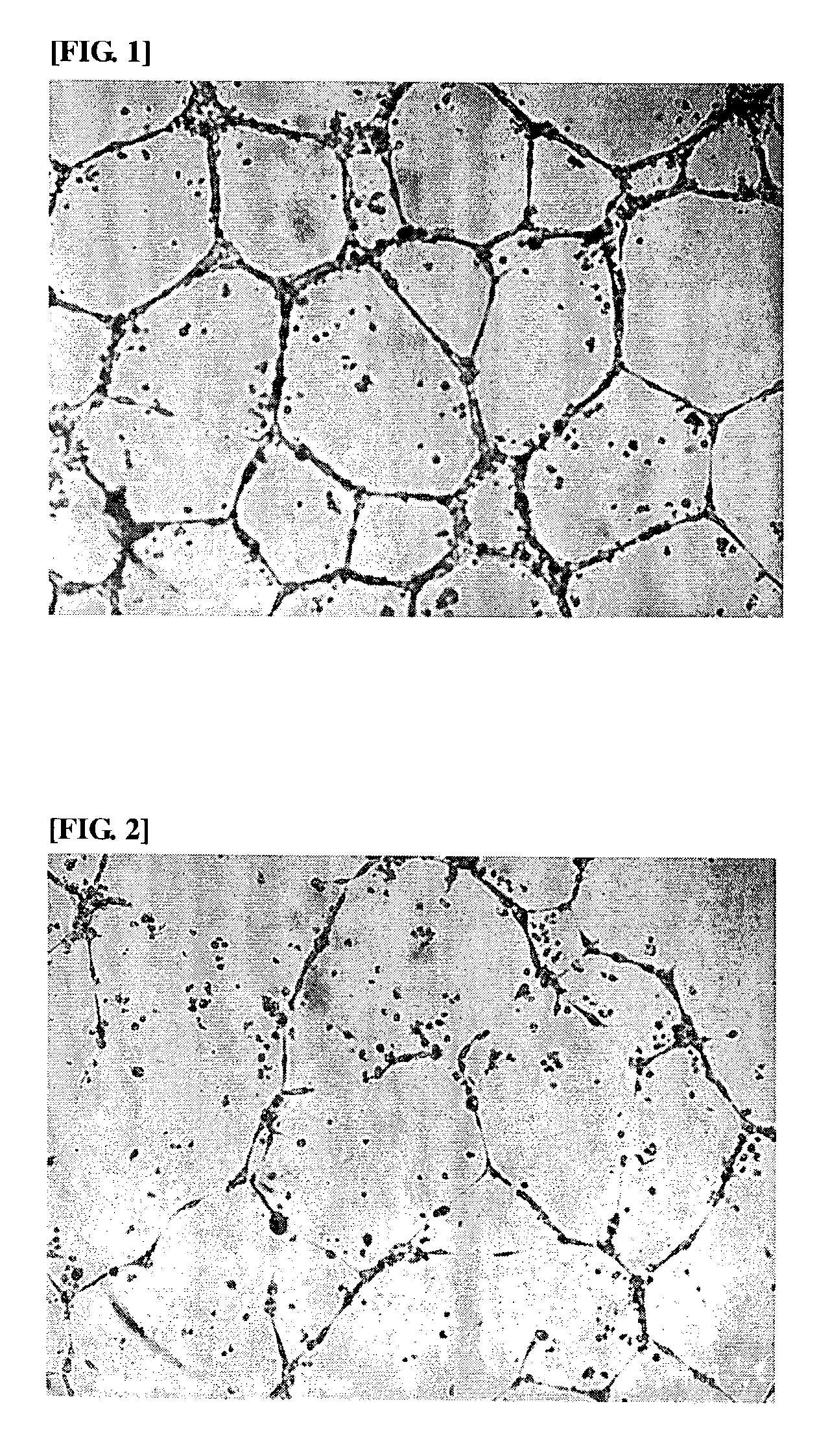 Composition comprising Melissa leaf extract for anti-angiogenic and matrix metalloproteinase inhibitory activity