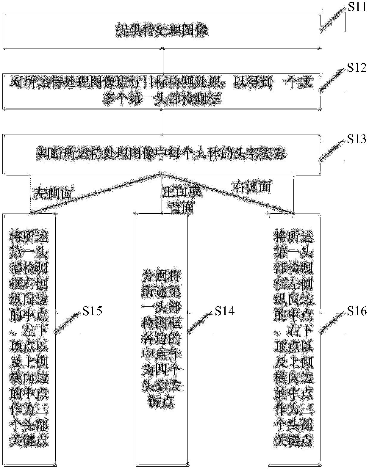 A method and device for detecting head key points in human body posture recognition