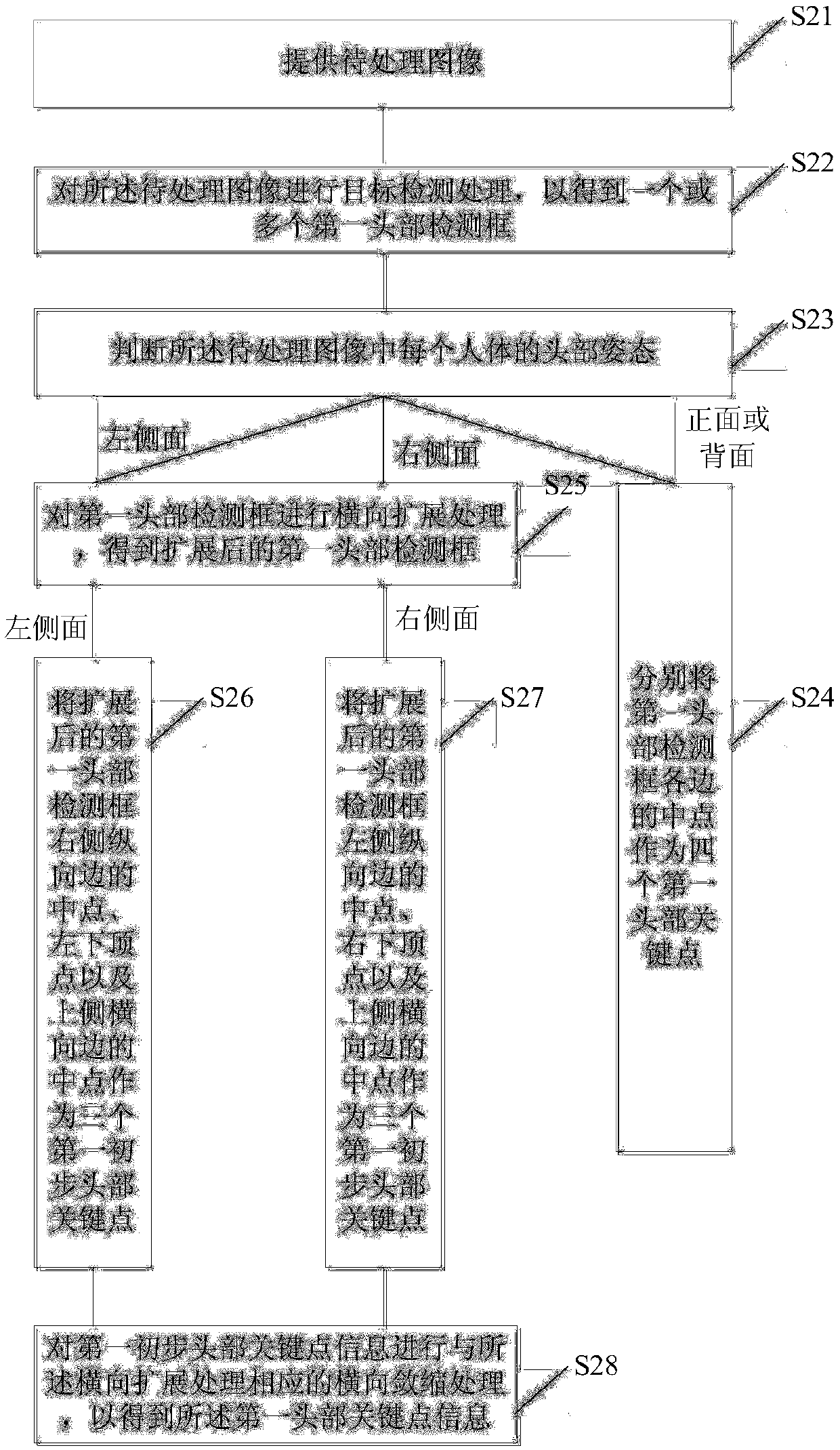 A method and device for detecting head key points in human body posture recognition