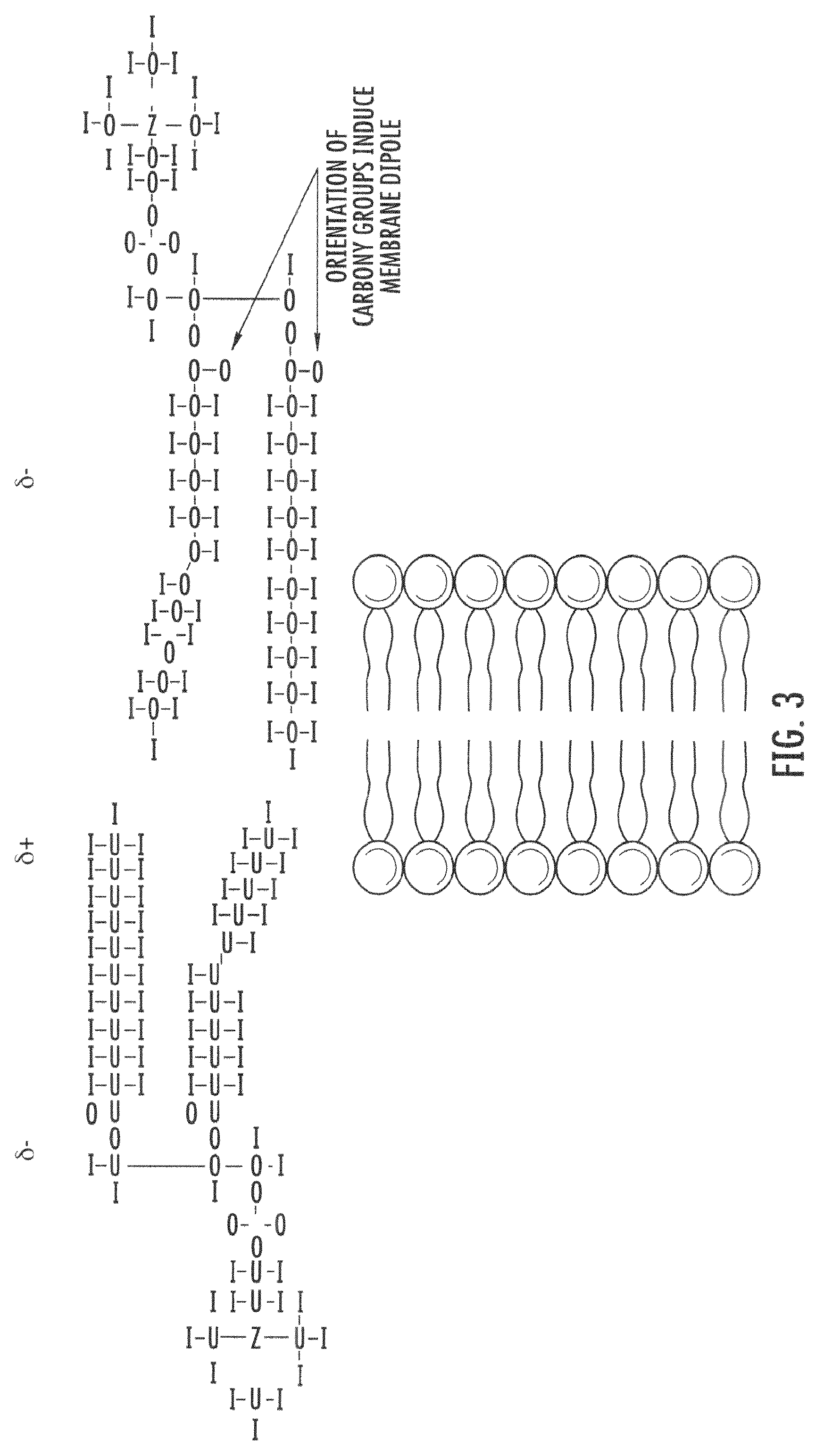 Low aspect ratio diffusing fiber tip