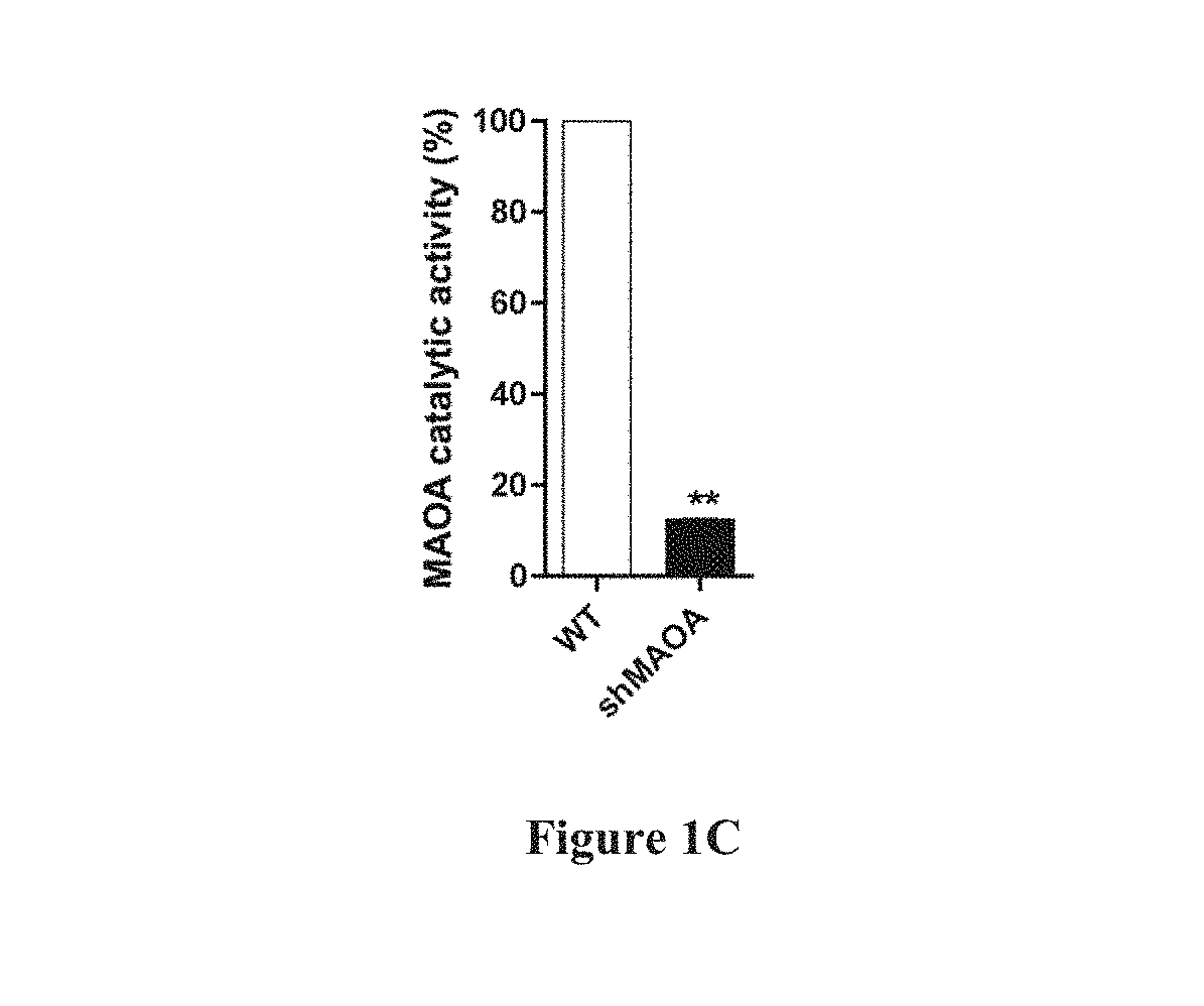 Monoamine oxidase inhibitors and methods for treatment and diagnosis of prostate cancer