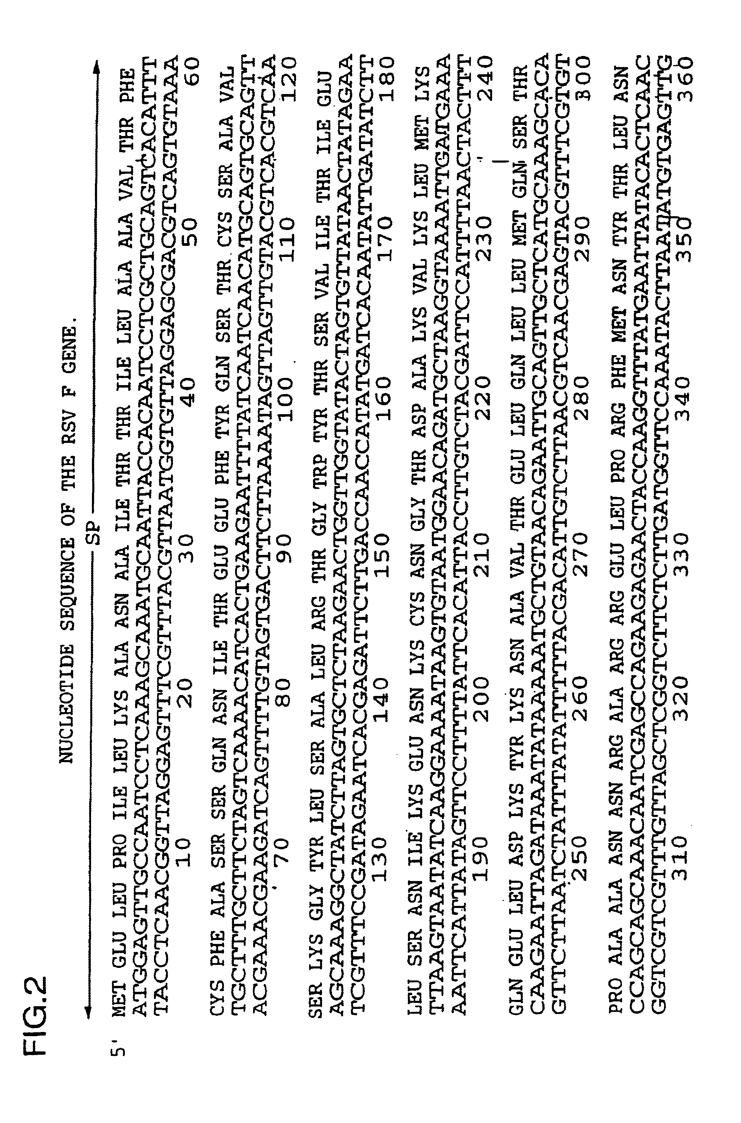 Nucleic acid respiratory syncytial virus vaccines