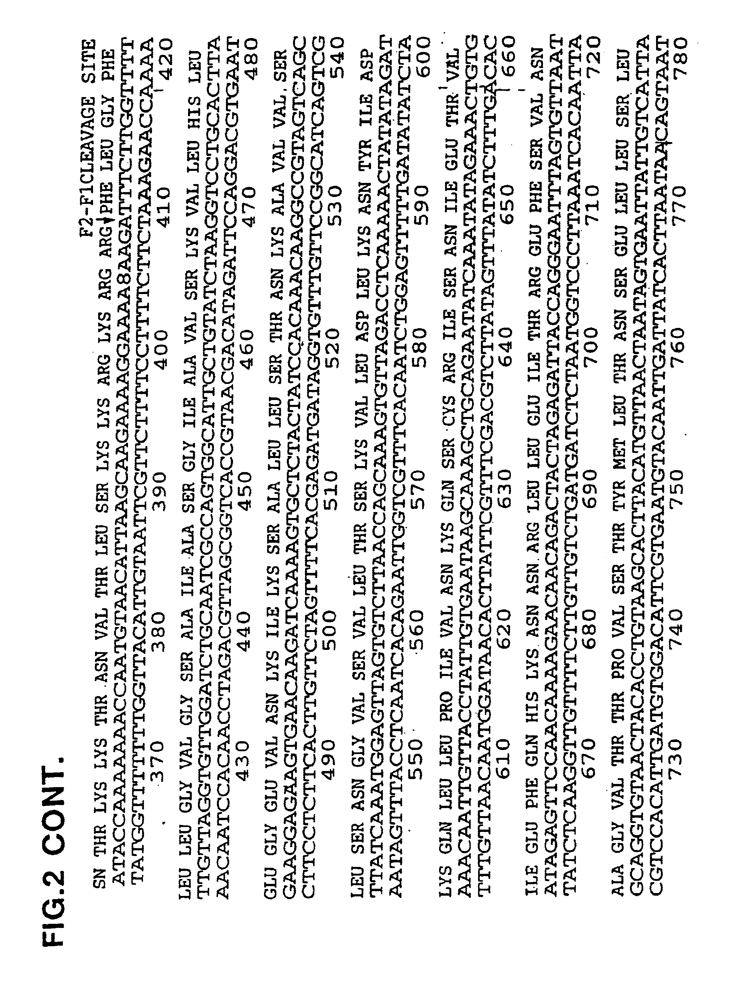 Nucleic acid respiratory syncytial virus vaccines