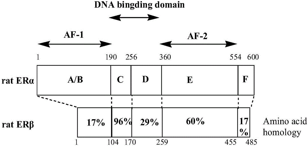 Cyclopropane compound as well as preparation method and application thereof