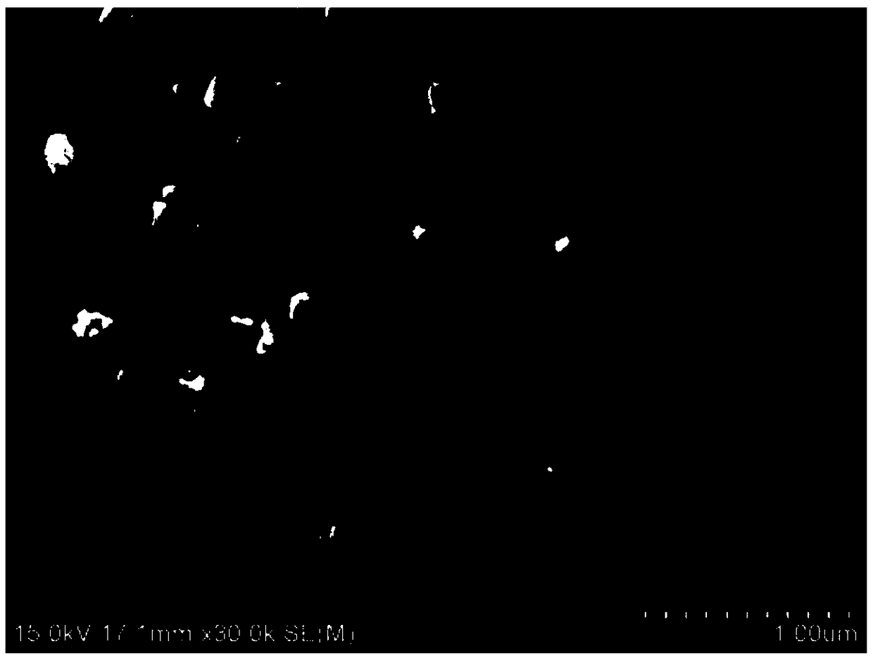 Preparation method and application of modified carbon fiber microelectrode