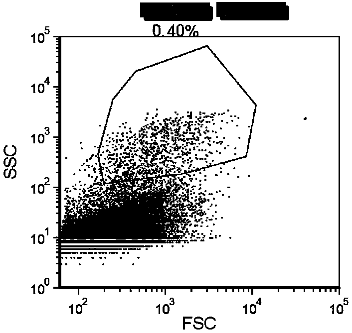 Method for rapid aseptic separation of edible fungi haploids