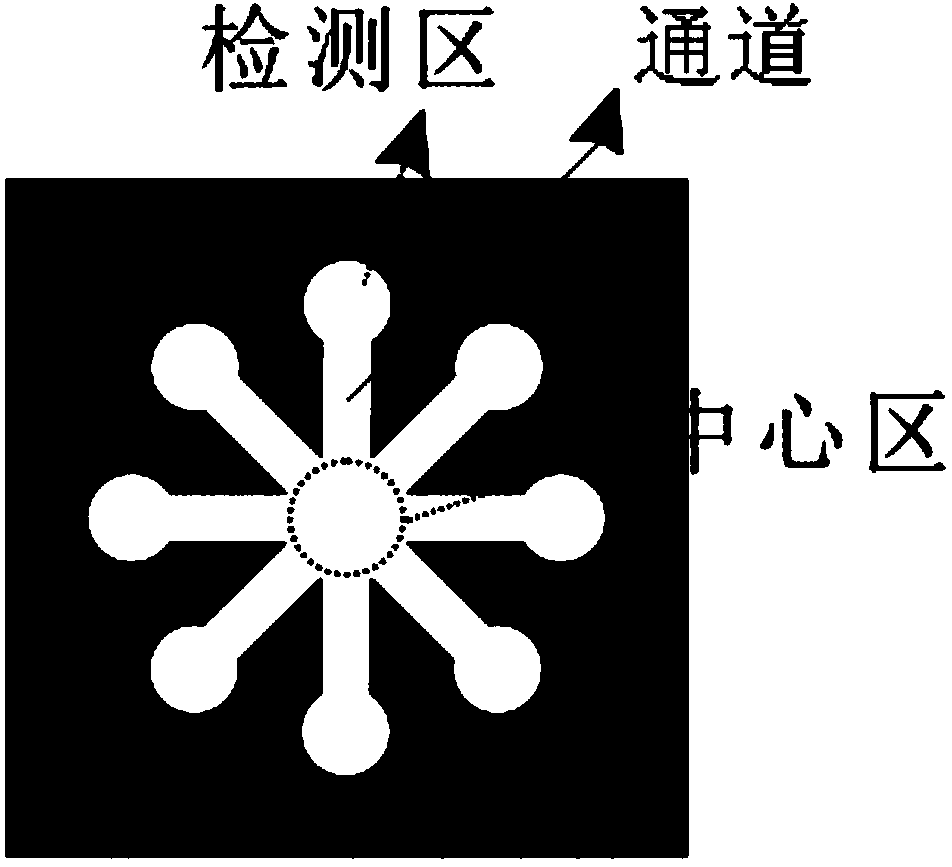 Paper chip detection method for rapidly determining content of amylose in paddy rice and application system adopted in paper chip detection system for rapidly determining content of amylose in paddy rice