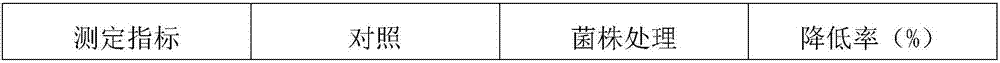 Bacillus subtilis strain and application thereof