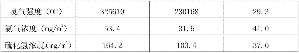 Bacillus subtilis strain and application thereof