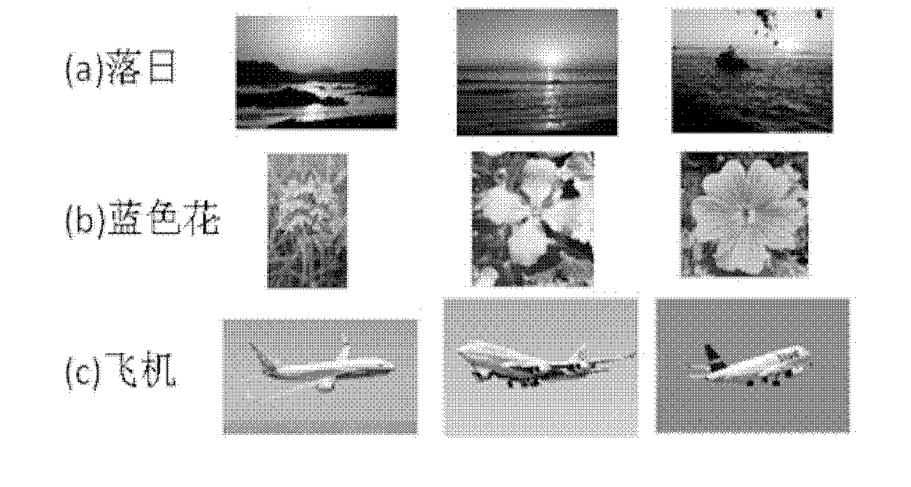 Image semantics classification method based on class-shared multiple kernel learning (MKL)