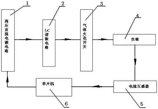 Tumor Nanosecond Pulse Electrotherapy Apparatus