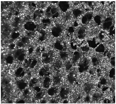 Method for preparing biological medical porous implant material