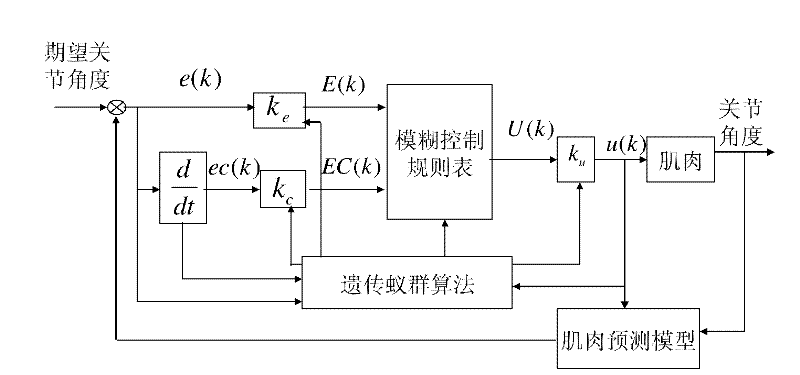 Walking aid electrostimulation fine control method based on genetic-ant colony fusion fuzzy controller