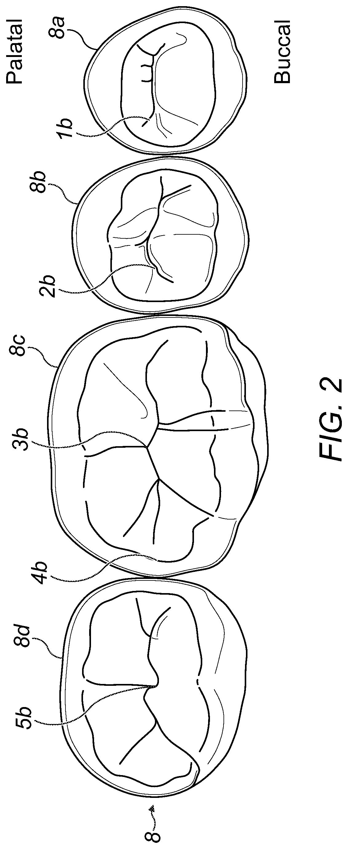 Artificial teeth