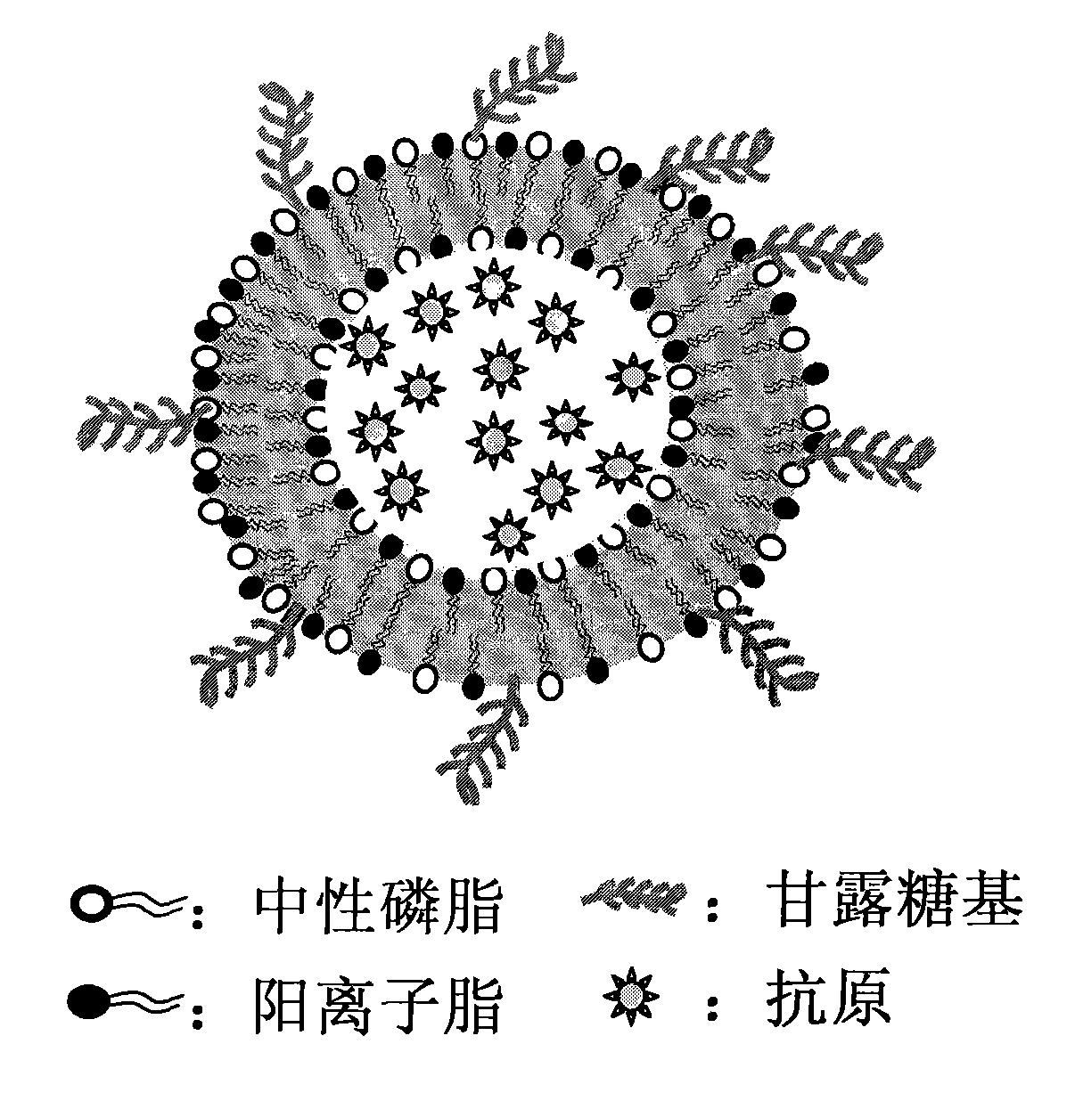 Nanometer vaccine and preparation method thereof