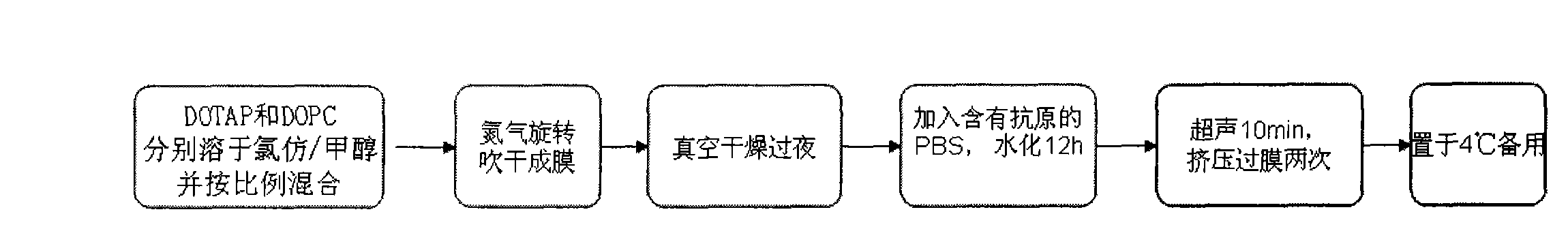 Nanometer vaccine and preparation method thereof