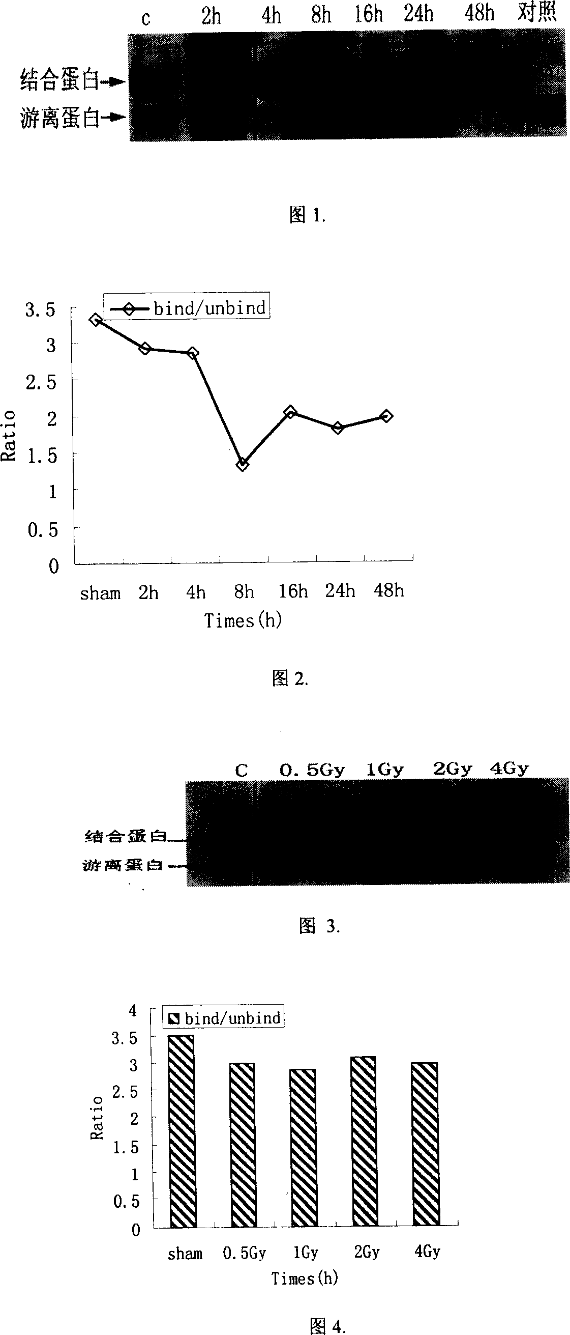 Novel technical method for DNA and protein interaction research