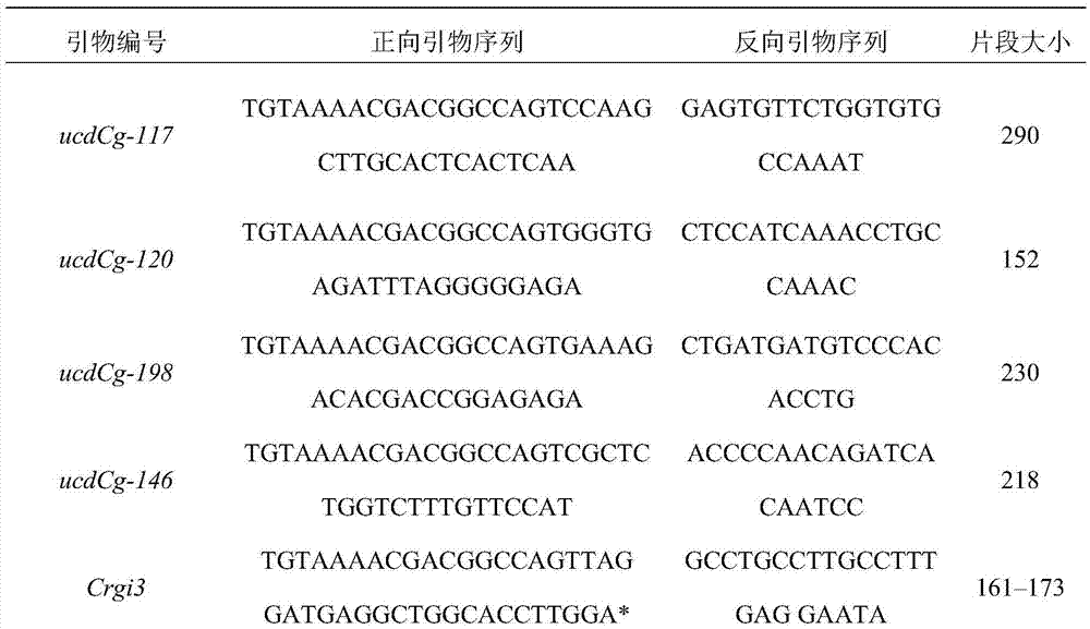 Microsatellite multiplex-PCR (Polymerase Chain Reaction) method for carrying out paternity testing on crassostrea gigas